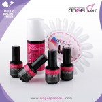 Gelly Sample Kit